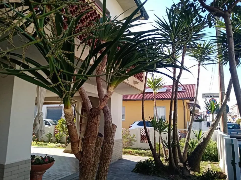 Florinda B&B Viareggio 0*,