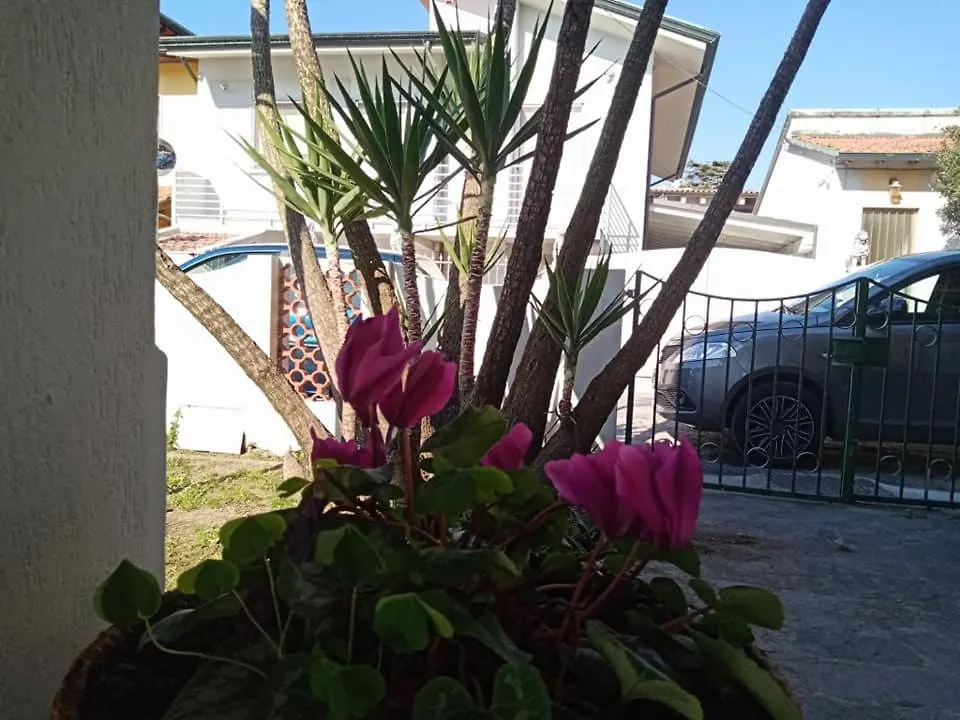 Bed & Breakfast Florinda B&B Viareggio